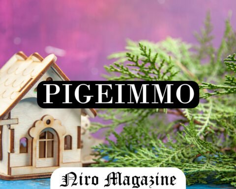 Pigeimmo