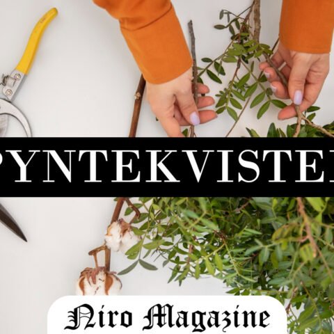 Pyntekvister