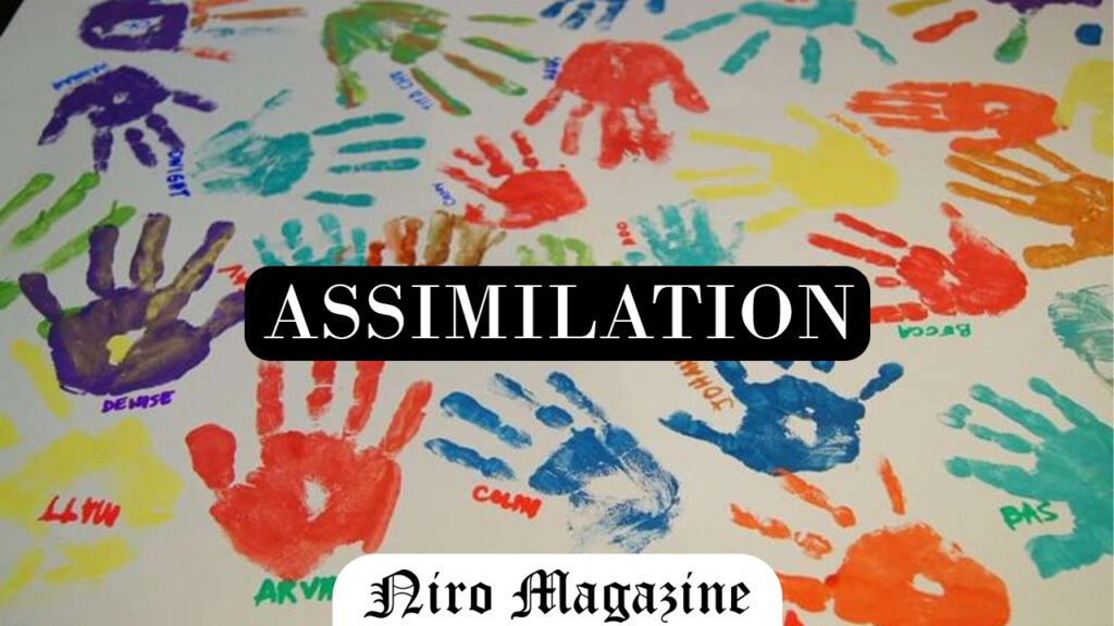 Assimilation
